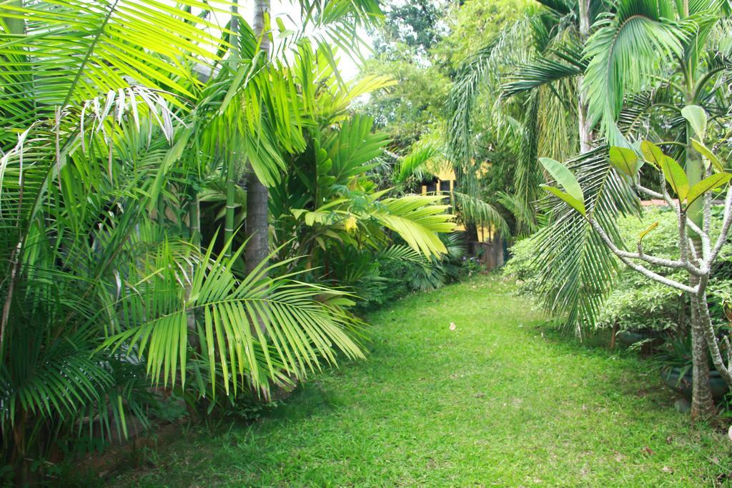 Traditional Kandyan House Экстерьер фото